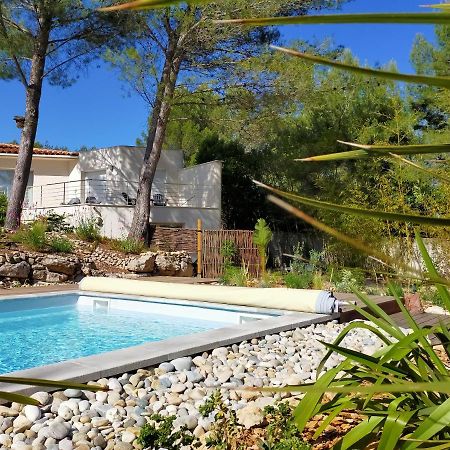 Studio D'Hotes Les Libellules Castelnau-le-Lez Kültér fotó